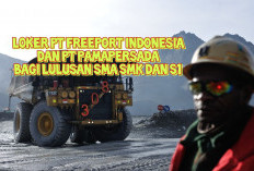 PT Freeport Indonesia dan PT Pamapersada Buka Loker Bagi Lulusan SMA, SMK, dan S1