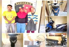 Ubah Cat agar Tak Dikenali, 3 Warga Diduga Berkomplot Gelapkan Motor Petani 