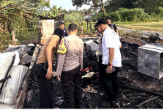Diduga Akibat Puntung Rokok