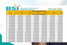 KUR BSI 2025, Pinjaman Tanpa Riba Cicilan 90 Ribuan, Simak Syarat dan Tabel Skema Pinjaman Terupdate
