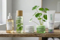 Skin Barrier Rusak Parah? 5 Skincare Centella Asiatica Ini Siap Jadi Juru Selamat Kulitmu!