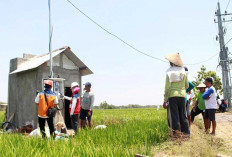 PLN Raih Predikat Platinum SDGs, Raih 43 Penghargaan di Nusantara CSR Awards 2025