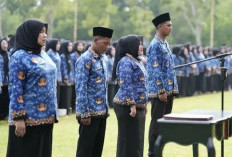 Gaji PPPK Paruh Waktu Belum Cair, Administrasi OPD Jadi Kendala