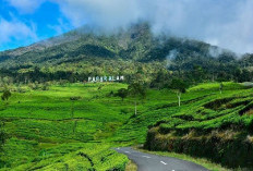 Mau LIburan ? Ini 10 Destinasi Terbaik di Sumatera Selatan