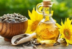 Minyak Bunga Matahari: Segudang Keajaiban Kesehatan dalam Sejumput Nutrisi Emas, Cobaan Yuk!