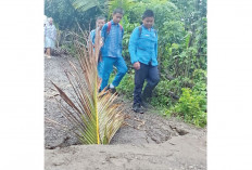 Gorong-Gorong Jebol, Mobilitas Pelajar Terhambat