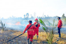 Waspada Api Sudah Tembus Lapisan Gambut, Karhutla Makin Sering dan Meluas di Sumsel