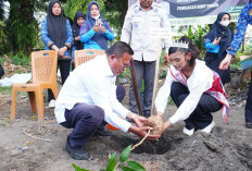 Tanam Pohon, Bagikan Ribuan Bibit Buah 