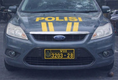 Plat Dinas Polisi di Jalan Raya Batas Kewenangan, Penyalahgunaan, dan Dampaknya bagi Kepercayaan Publik