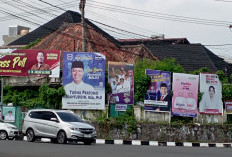 9 Balon  Walikota Palembang, Dengan Latar Belakang Pendidikan Yang Wow. Ada yang Profesor Loh! 