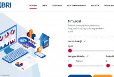 Solusi Dana Darurat dan Renovasi Rumah bagi PPPK dan ASN Melalui Skema Pinjaman BRI