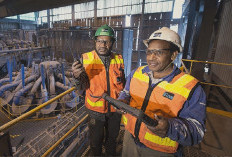 15 Jurusan Sarjana Paling Dicari PT Freeport Indonesia, Kamu Salah Satunya?