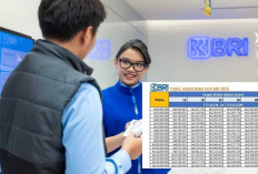 Skema Pinjaman BRI Kredit Mobil 2025, Miliki Mobil Impian Proses Cepat, Cek Tabel Cicilan!