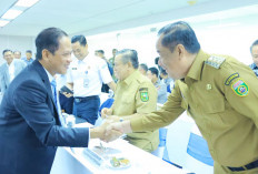 Titik Panas Meroket Signifikan, Wagub Cik Ujang Tegaskan Sumsel Siap Antisipasi Karhutla 2026