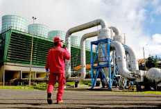 Makin Diminati Sektor Industri dan Bisnis, Pengguna REC Naik 117 Persen