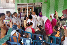 Peringati Hari Posyandu, Kabupaten Empat Lawang Optimalkan Layanan Kesehatan Desa