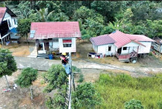 Di Tengah Dinamika Global, PLN Catat Pendapatan Rp582,68 Triliun di 2025