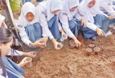 Ketahanan Pangan Masuk Kurikulum Mulok, SMAN 4 OKU Salah Satu Pionir