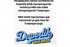 Dapodik Pastikan Penerbitan NRG Tak Bergantung Penginputan Nomor Sertifikasi