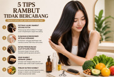 Rambut Bercabang? Coba Terapkan Lima Cara Ini