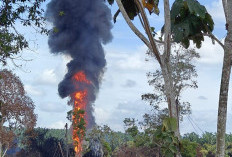 Warga Dusun VI Parung Berjuang Melawan Kobaran Api, Tumpahan Minyak