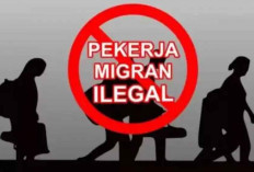 PMI Ilegal Kerja Pakai Visa Kunjungan, BP3MI Berusaha Memulangkan 20 PMI di Malaysia