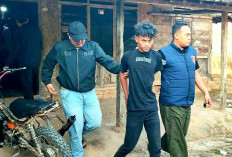 Dua Bulan DPO dan Rindu Rumah, Pencuri Sawit Milik PT WMM Langsung Diringkus Polisi  