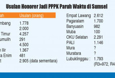 BKN Tak Permasalahkan Lagi Database, Ada Kriteria dan Prioritas Honorer Bisa Diangkat Jadi PPPK Paruh Waktu