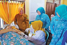 Antusias Ikuti Bakti Sosial Kesehatan hingga Fashion Show  