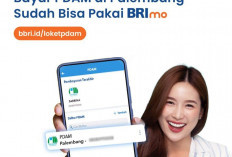 Bayar PDAM Palembang Makin Mudah, Kini Bisa Lewat Aplikasi BRImo, Begini Caranya