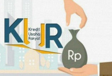 3 Alternatif Pinjaman Modal Usaha yang Lebih Aman dari Pinjol DANA