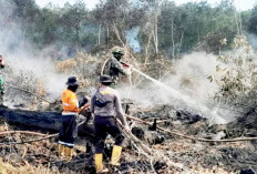 Tiga Kecamatan di Muara Enim Masuk Zona Waspada Karhutla!