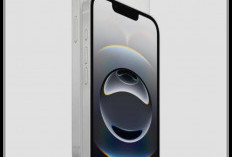 iPhone 17e Meluncur 2026, Strategi Baru Apple Menjajal Segmen Terjangkau