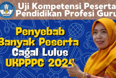 Kelulusan PPG Tak Capai 100 Persen, Peserta Piloting 3 Akan jadi Retaker Jika Gagal, Cek Waktu Ujiannya