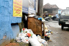 DLH Tetap Angkut Sampah di TPS Liar 