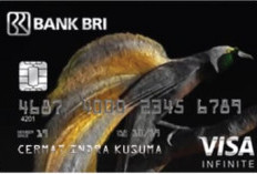 Kartu Kredit BRI Dari Cashback Harian hingga Fasilitas Lounge Eksklusif, Mana yang Cocok untuk Kamu?