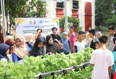 Kenalkan Siswa Budidaya Sayur Hidroponik, Wujud Praktik Kewirausahaan 