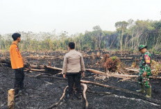 Sebagian Sumsel Kategori Sangat Mudah Terbakar, hingga Medio Juli Tercatat 2.342 Hotspot dan 321 Kali Karhutla