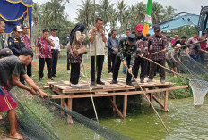 Potensi Luar Biasa Ikan Patin di Banyuasin, Mendorong Ekonomi dan Pembangunan Masyarakat