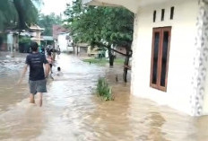 Sungai Rawas Mengamuk! Ratusan Rumah di Muratara Tenggelam Dalam Semalam