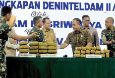 TNI Bantu Polisi Berantas Narkoba