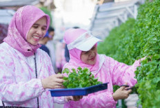 Urban Farming 5 Ulu, Dari Lahan Terbengkalai Menjadi Ruang Hidup Berkat Dukungan BRInita