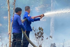 Kebakaran Lahan Seluas 3 Hektare di Empat Lawang Nyaris Capai Permukiman, Api Berhasil Dipadamkan