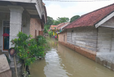 Banjir di OKU Timur Belum Usai, Bergeser ke Semendawai Suku III: Ribuan Rumah Terendam