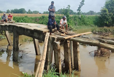 Jembatan di Kecamatan Semendawai Suku III Putus, Warga Perbaiki Swadaya 