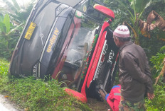 BUS AKAP Terperosok, Terguling ke Jurang di Lahat, Satu Penumpang Meninggal Dunia