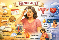 Wajib Tahu! Ini Tahapan Menopause