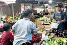 Cabai Rawit Naik, Cabai Merah Turun Jelang Nataru