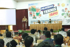 Sawit Primadona, ISPO Harga Mati, Batas Akhir Pengurusan Sertifikat ISPO 2025