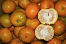 Ini Dia 9 Jenis Buah-Buahan Sumber Vitamin C